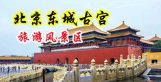 狂插潮吹中国北京-东城古宫旅游风景区